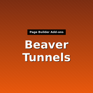 Beaver Tunnels
