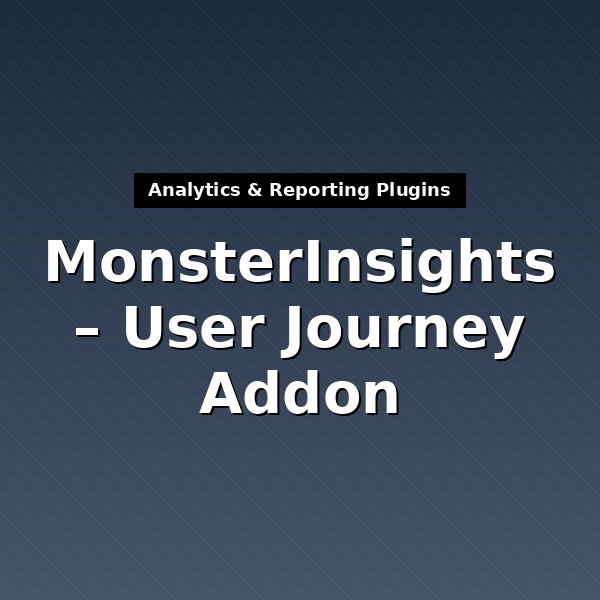 monsterinsights-user-journey-1